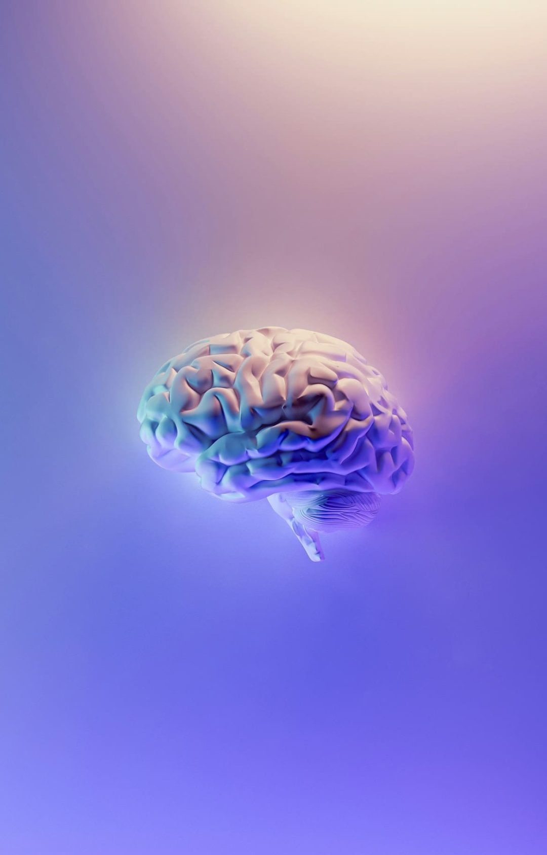 neuropsicología